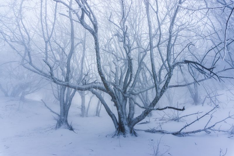 **** фото превью