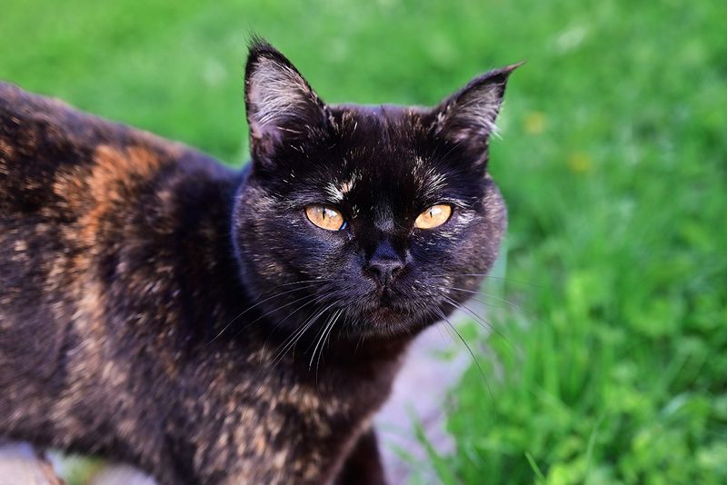 С прищуром фото превью