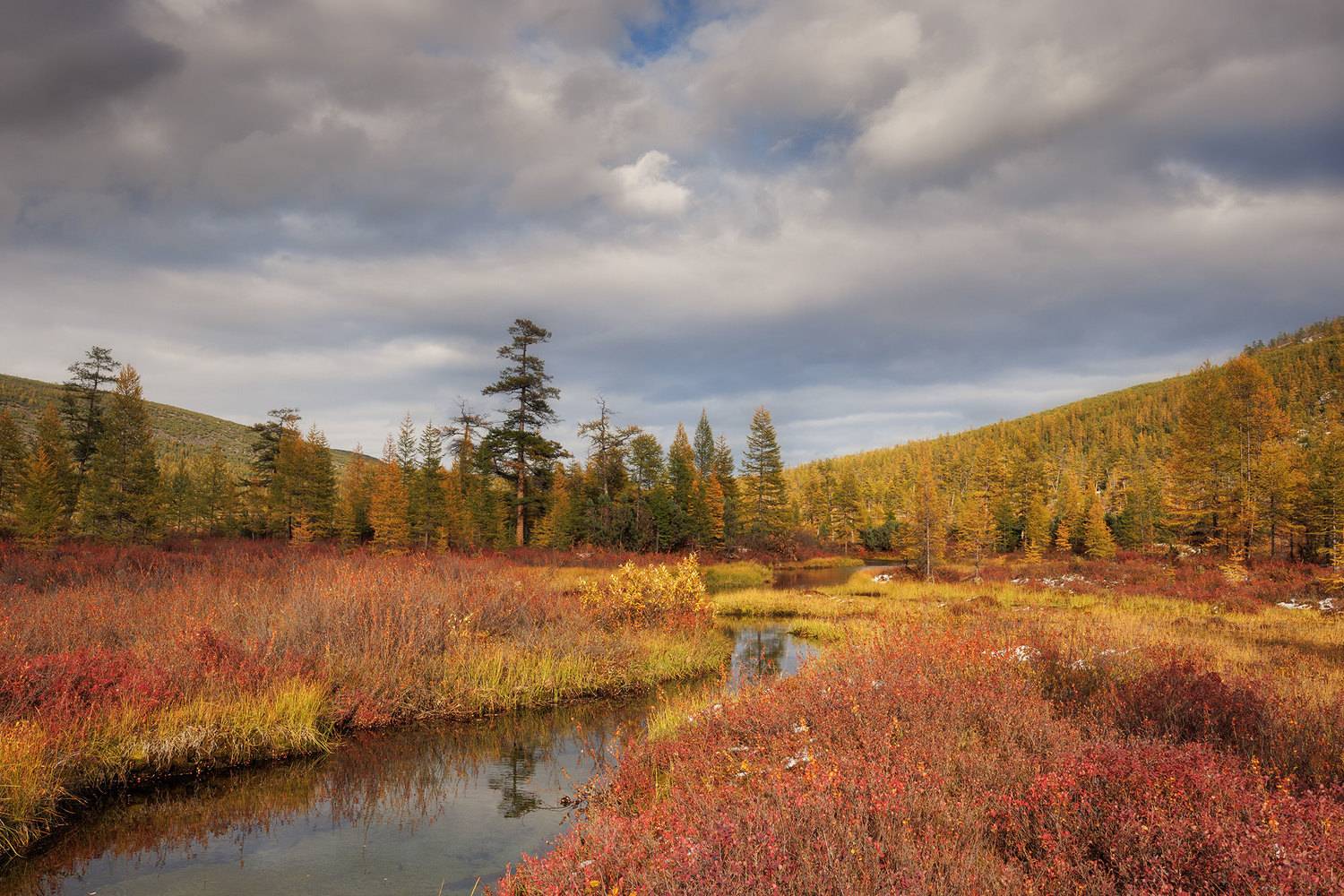 , Морозов Сергей