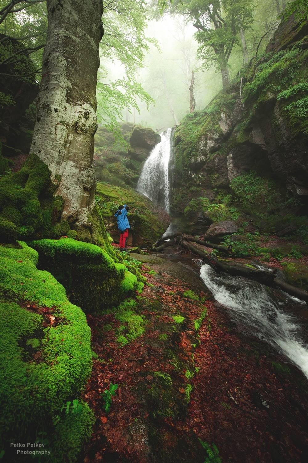 , Петко Петков