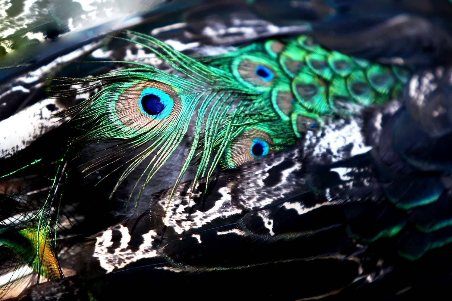 , mahdi karimi souderjani