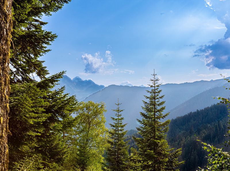 Красоты Абишириа-Ахуба. Район Архыза. фото превью