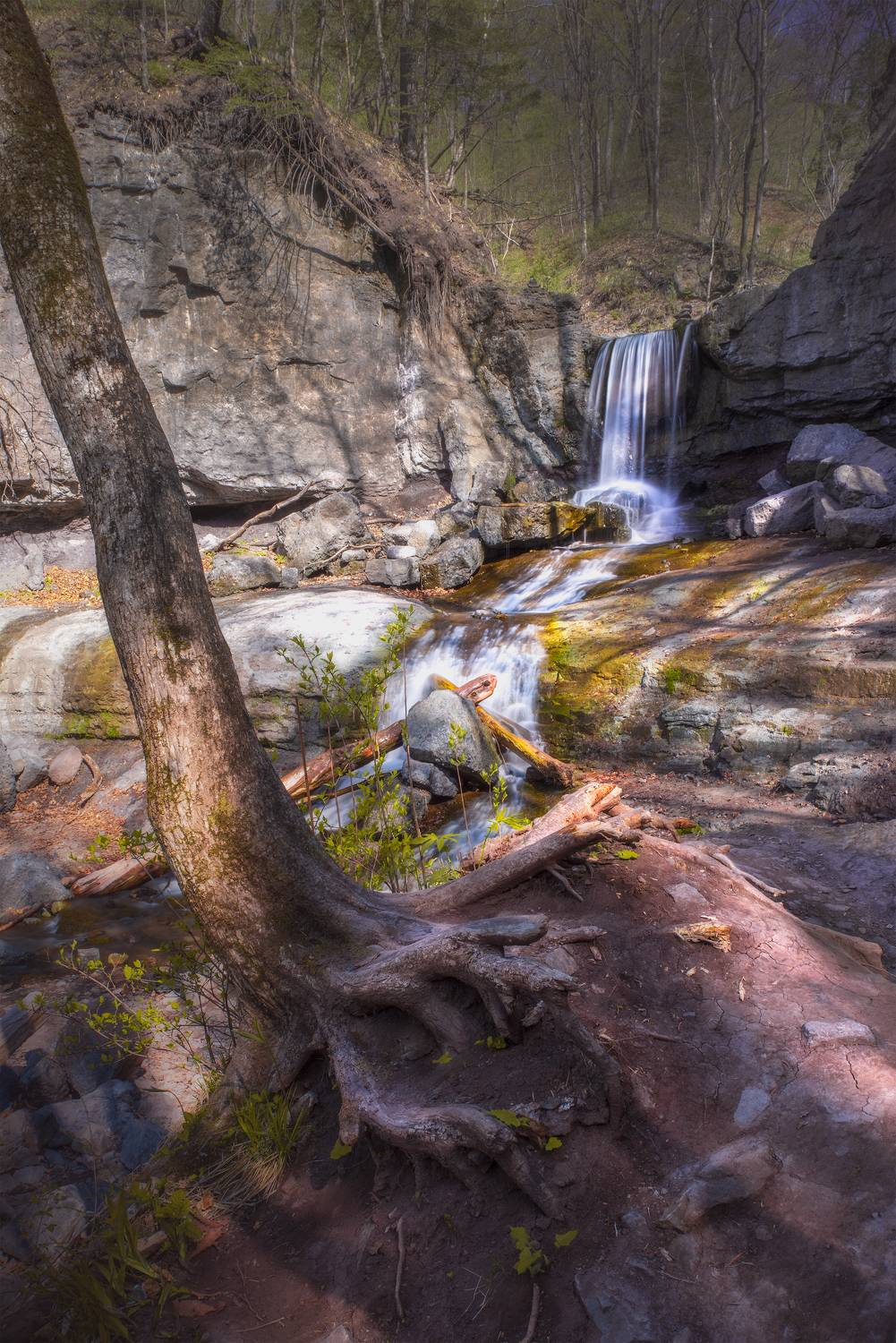 , Новиков Александр