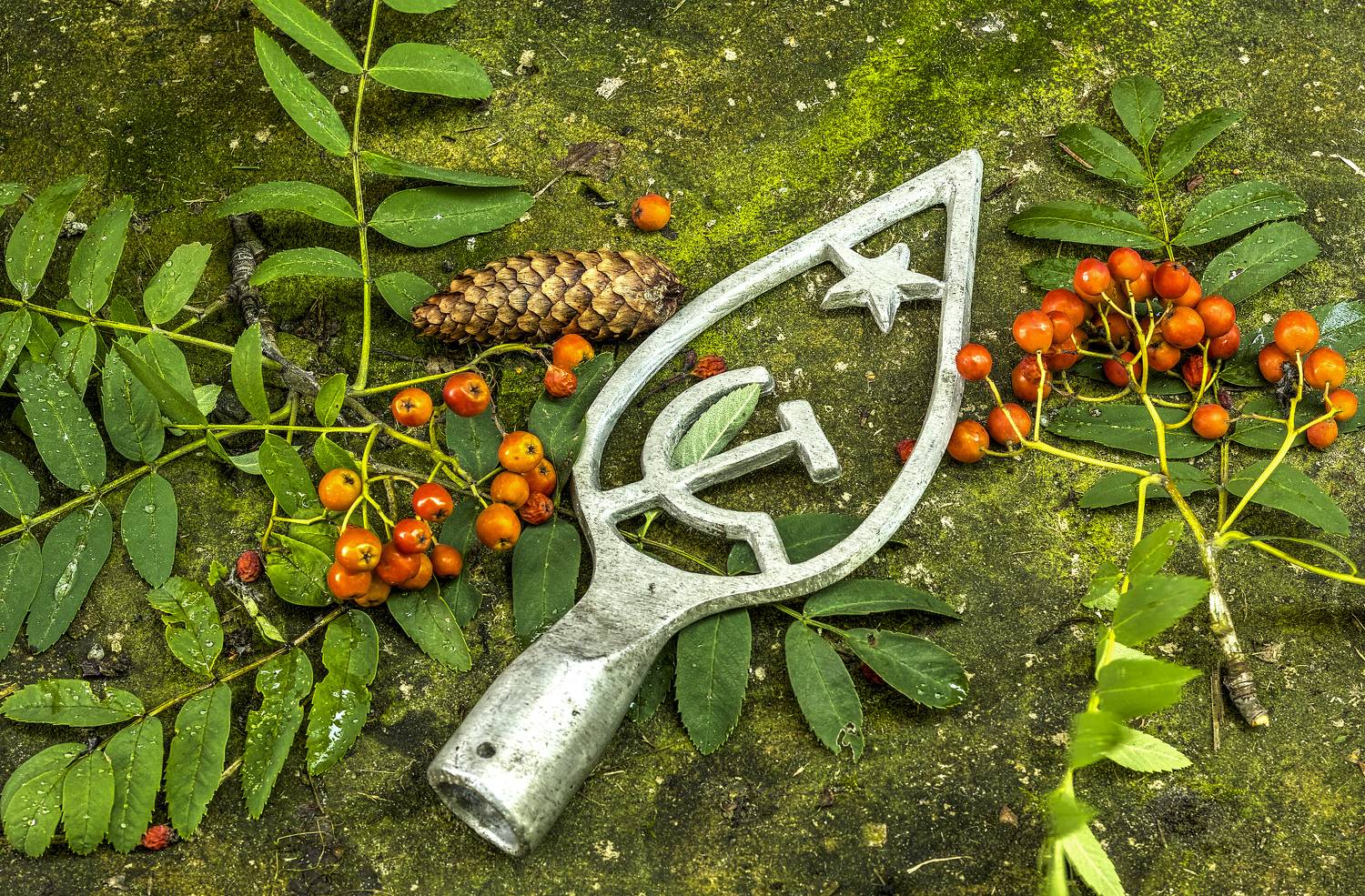 , Борис Бусыгин