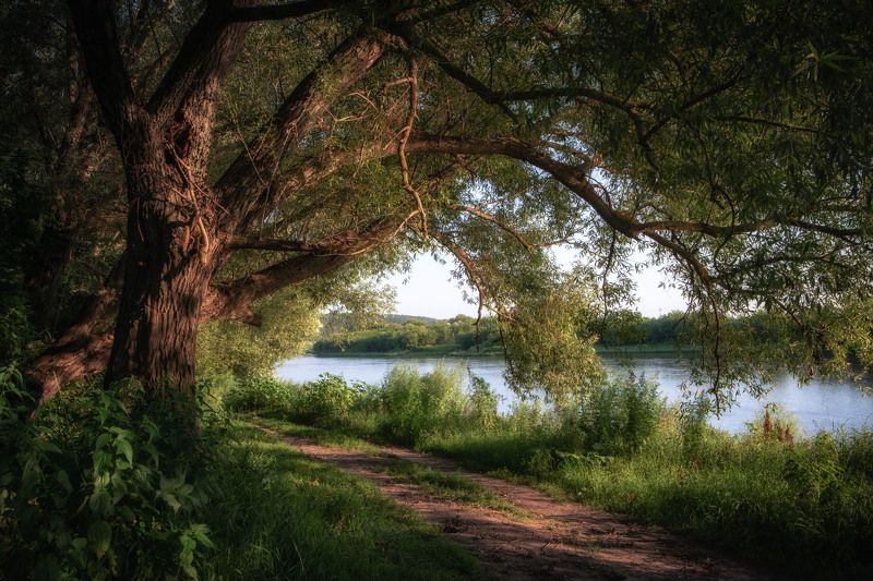 Дорога у реки фото превью