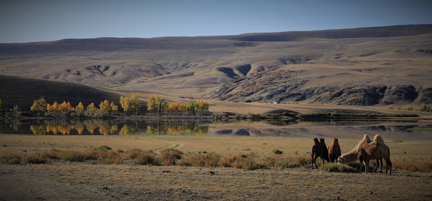 , Владимир Каверин