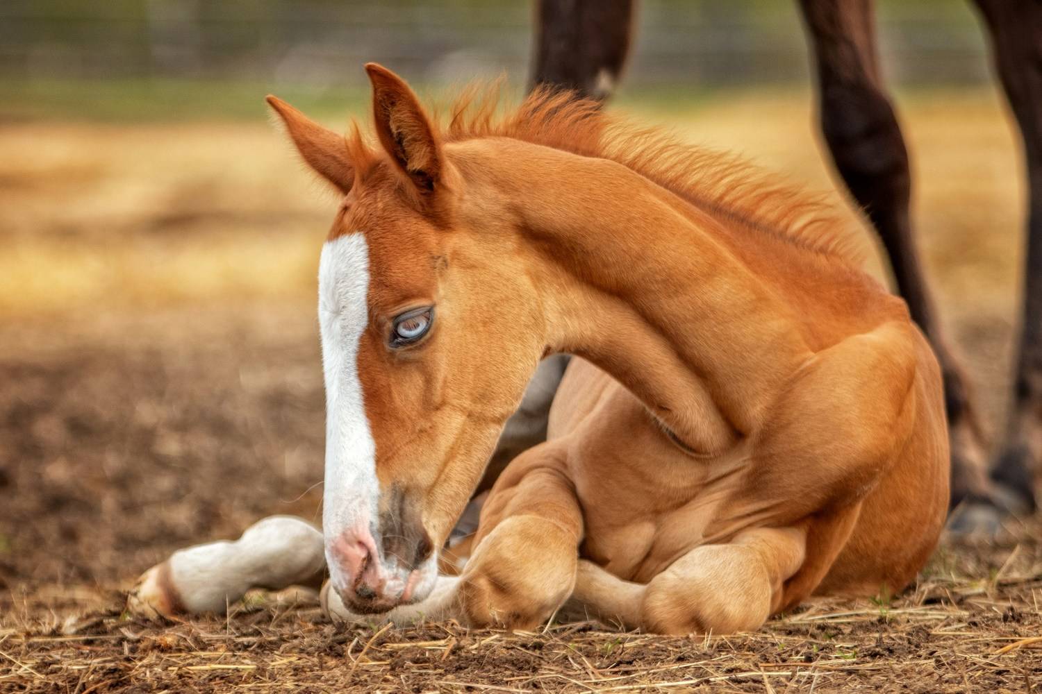 , Зубкова Юлия