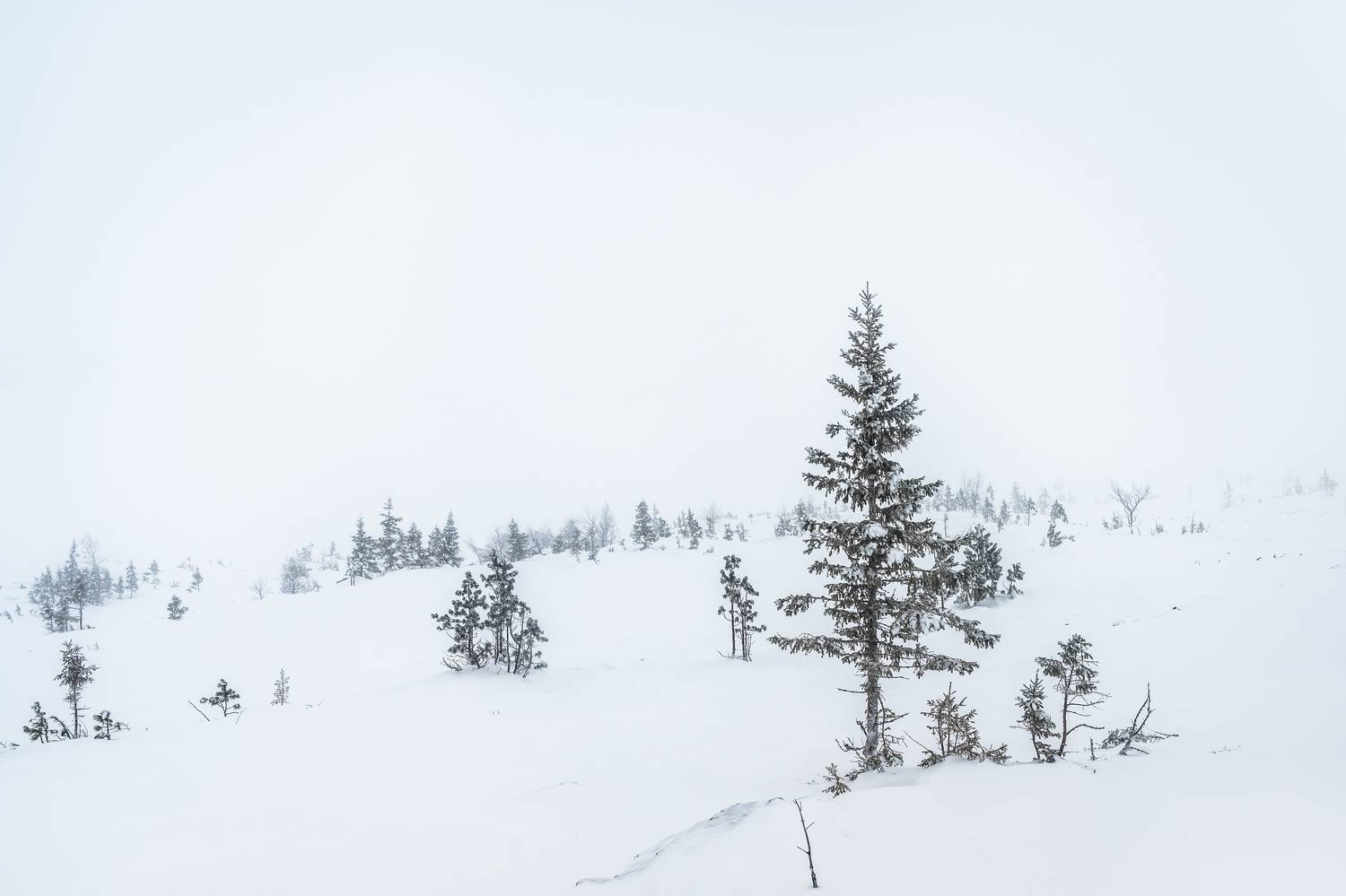 Урал, Северный Урал, горы, снег, Конжаковский камень, Evgeniy Khilkevitch