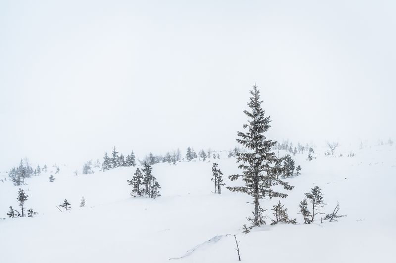 Урал, Северный Урал, горы, снег, Конжаковский камень Минимализм Северного Урала фото превью