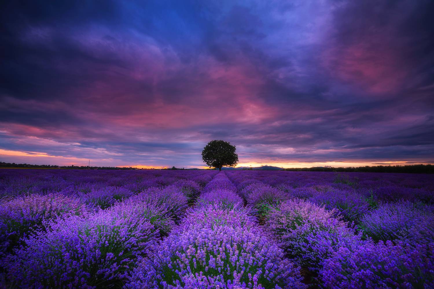 , Mariyana Atanasova - Lucero