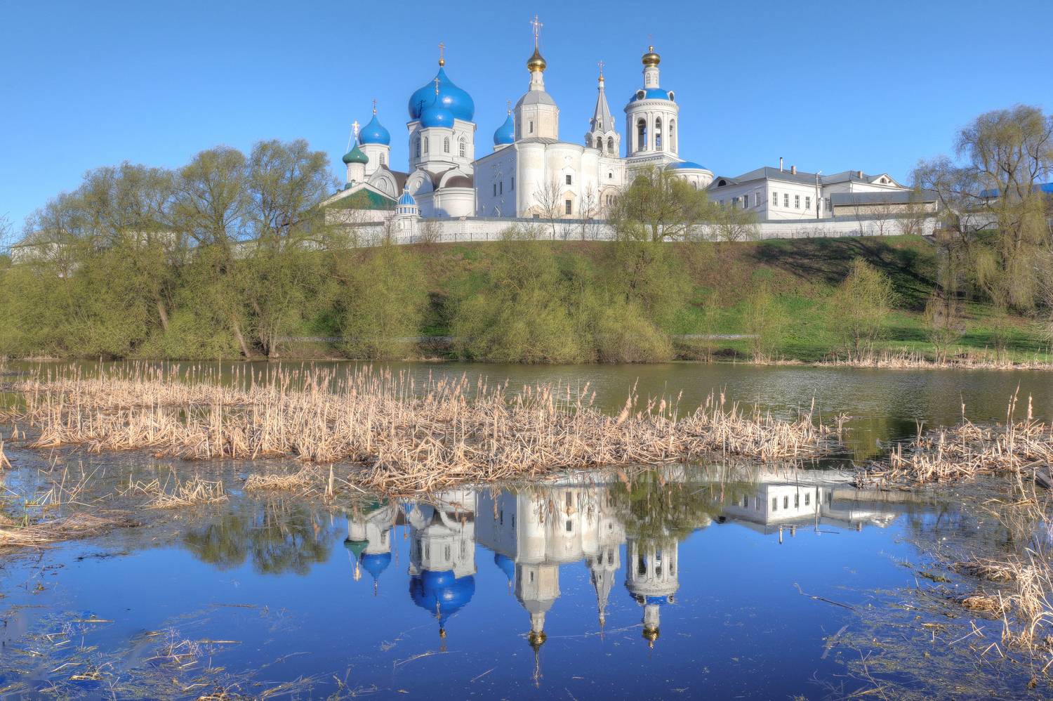 , Добролюбова Тамара