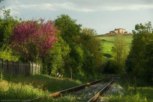 Из фототура в Тоскану в апреле 2024 года.