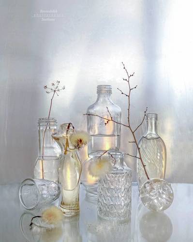 Одуванчики распушились