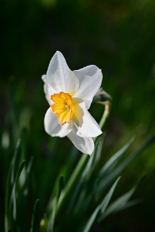 Перед сном фото превью
