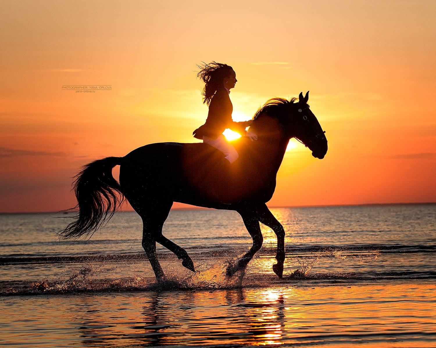 horse, horses, лошадь, конь, конныйфотограф, кэнон, canon, 7020028, лошади, фотографияслошадью, конный фотограф Яна Орлова, фотосессияслошадью, фотосессиислошадьми, коннаяфотография, pferd, horsephotographer, женский портрет, девушка , Яна Орлова