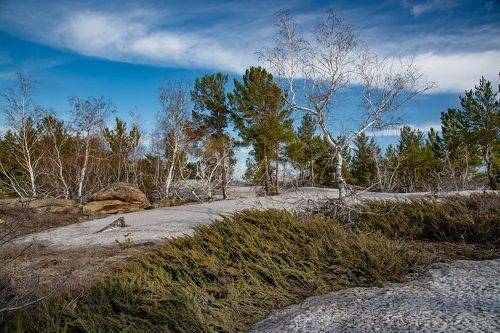 Весна в Корнеевке