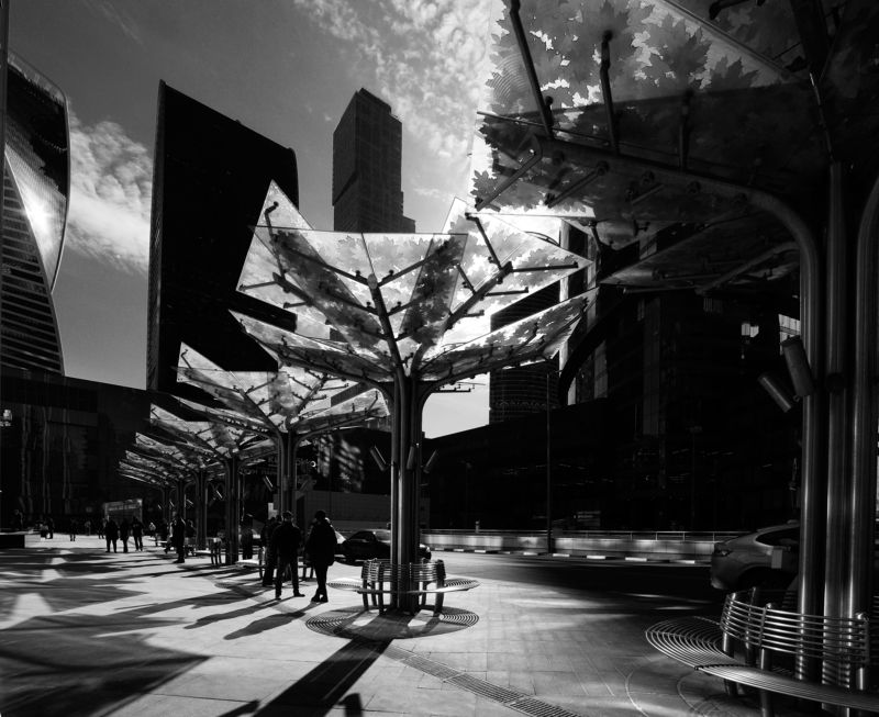 Искусственные деревья, МДЦ, листья, контровый свет, Москва Листья МДЦ фото превью