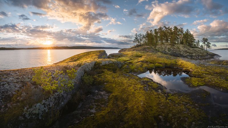 ладога, ладожские шхеры, карелия, северное приладожье, скалистые острова, сосны, белые ночи, мох \