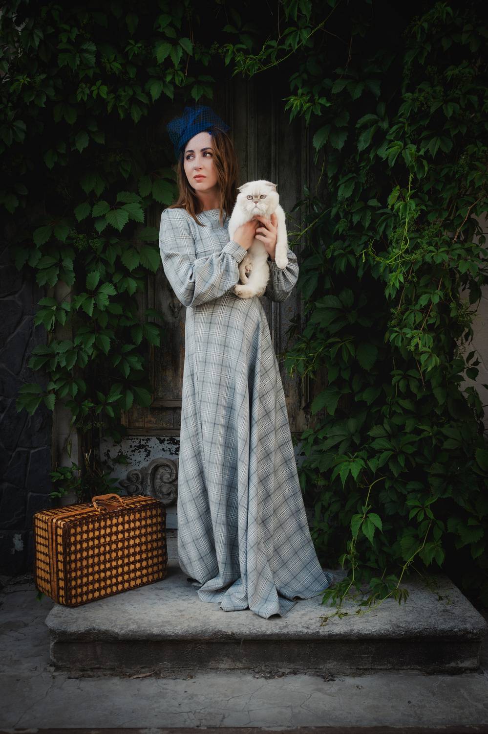 cat, door, vintage, ivy, portrait, girl, bulgakov,, Бугримов Егор