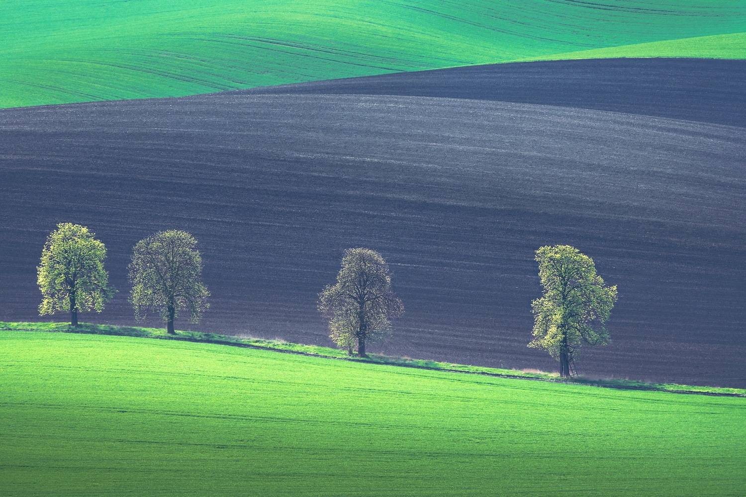 , Шимаковский Юрий