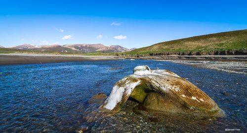 Жил-был кит...