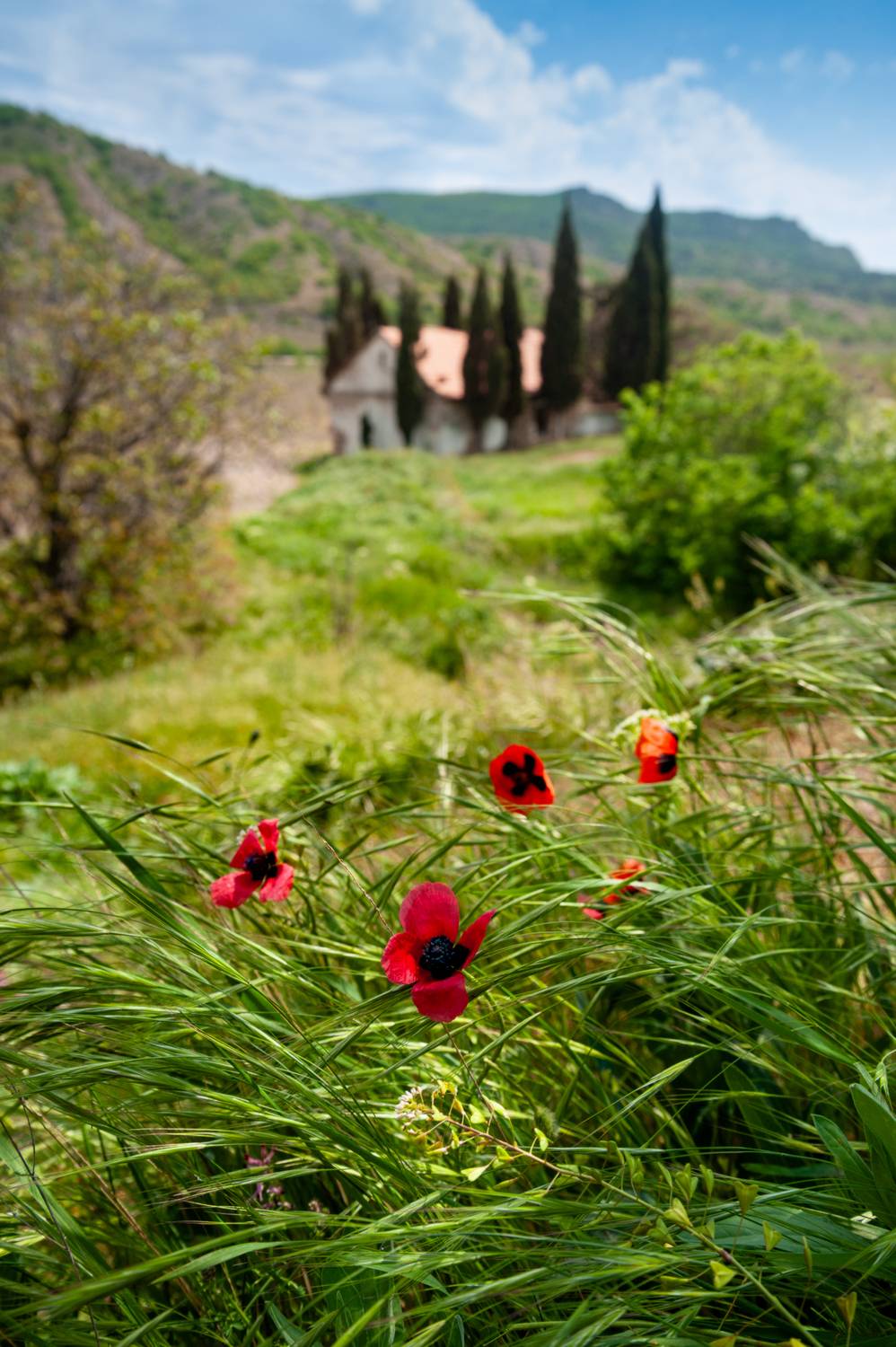 , Васильева Дарья