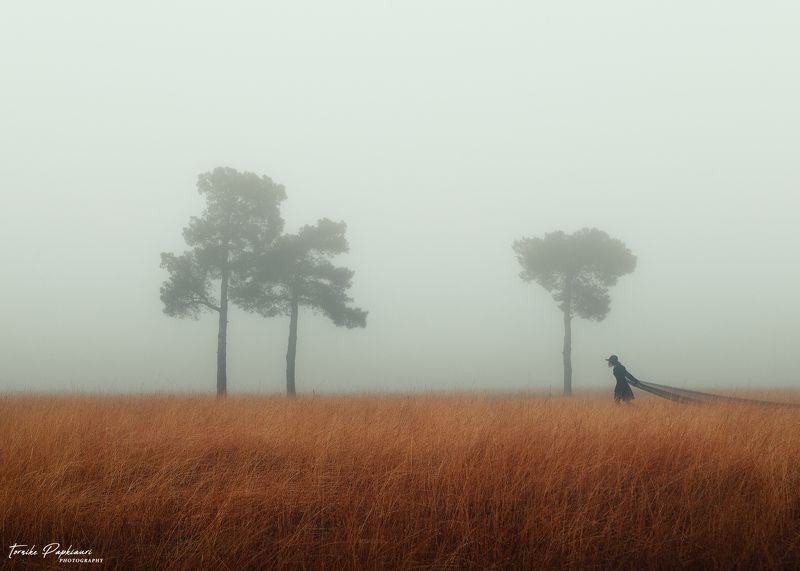 black widow/черная вдова фото превью