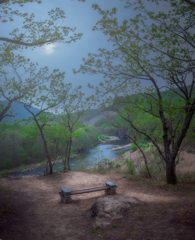 Лавка, речка, лес фото превью