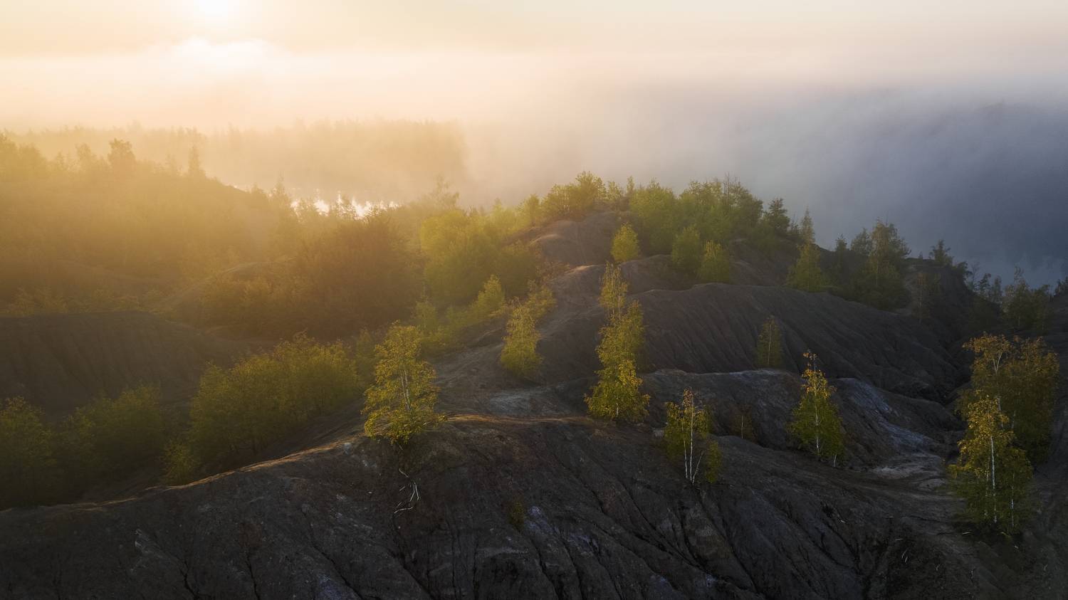 , Сильва Татьяна