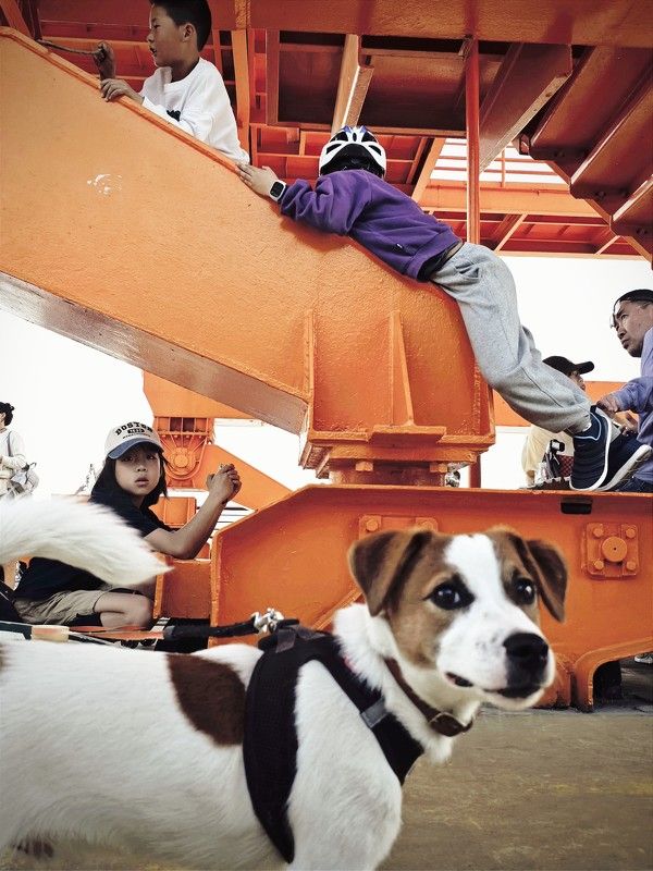 фото превью