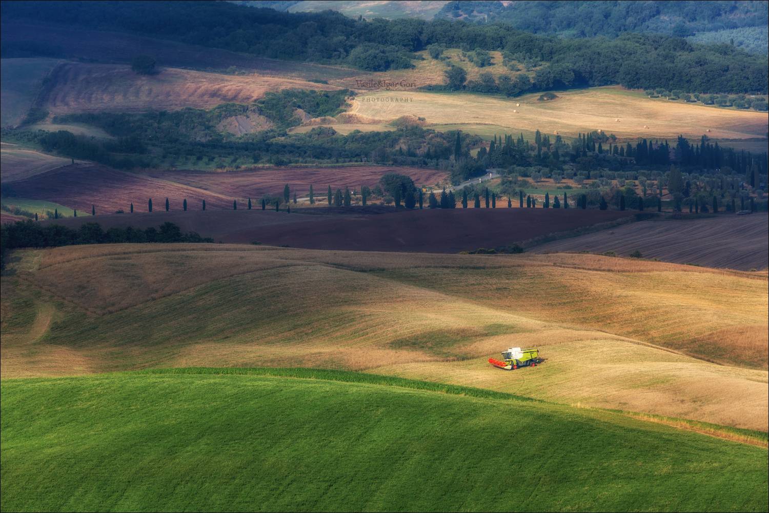 italy,san quirico d'orcia,italia,свет,пейзаж,podere belvedere,италия,nature,тоскана,комбайн,toscana,лето,tuscany,cipressi,жатва,agriculture,rural,, Гори Василий