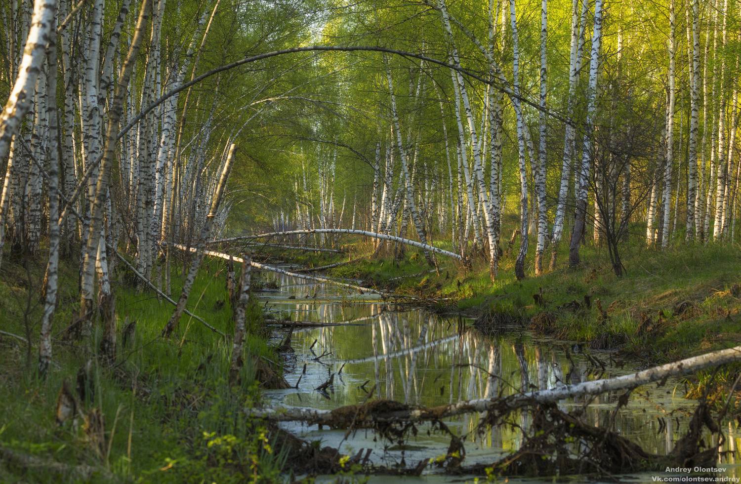 солнце, россия, рассвет, природа, подмосковье, погода, пейзажи, пейзаж, отражение, наукоград, красота, дубна, вода, весна, weather, water, spring, russia, reflection, naukograd, nature, moscow, landscape, dawn, canon, dubna, beauty, Олонцев Андрей