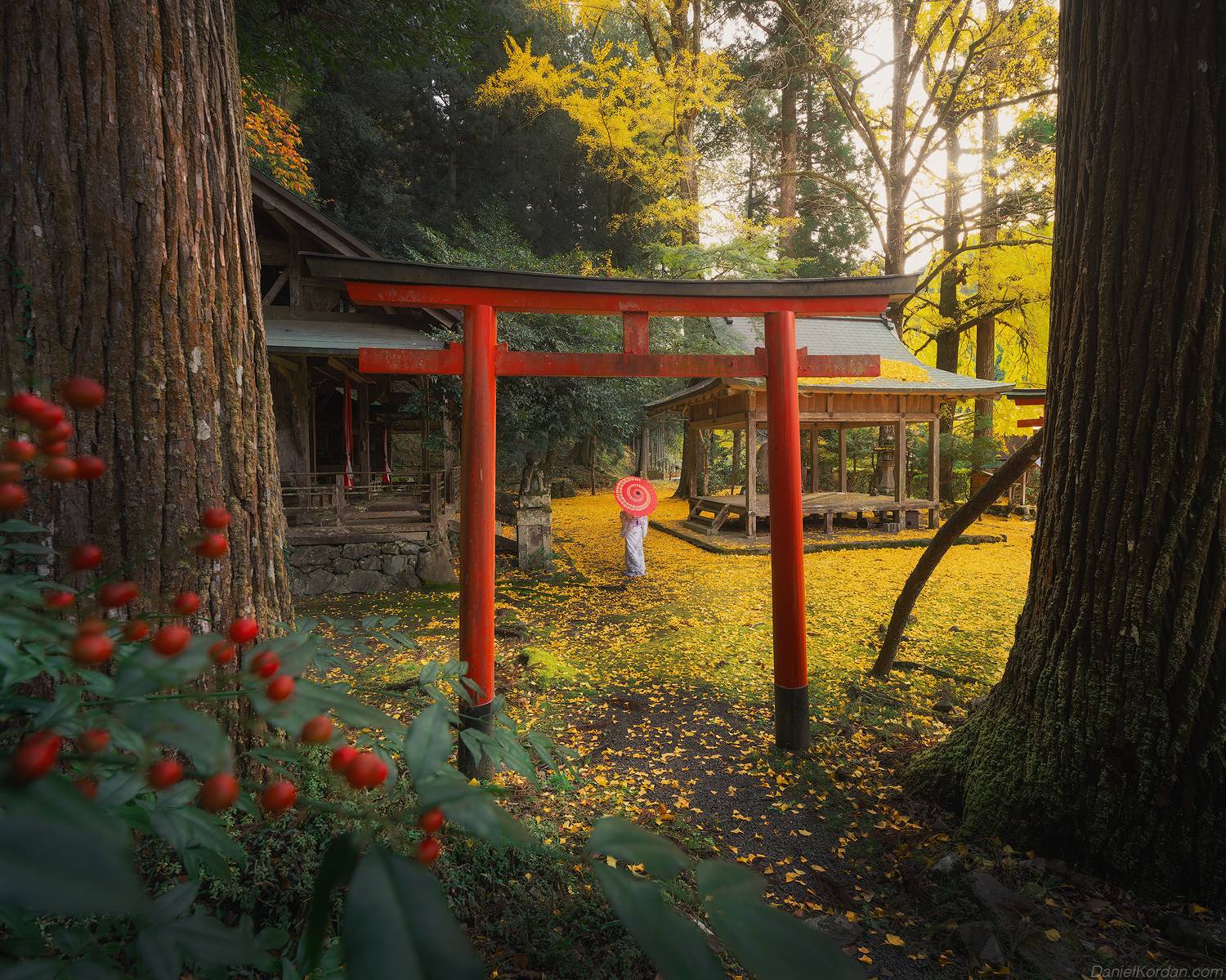 , Даниил Коржонов