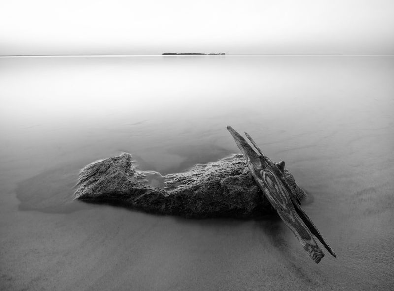 Последняя скрипка фото превью