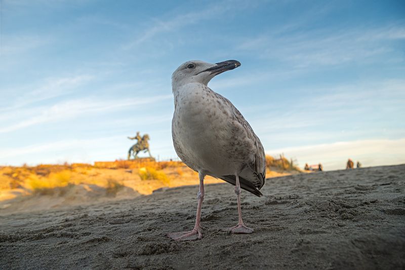 Балтийская фото превью
