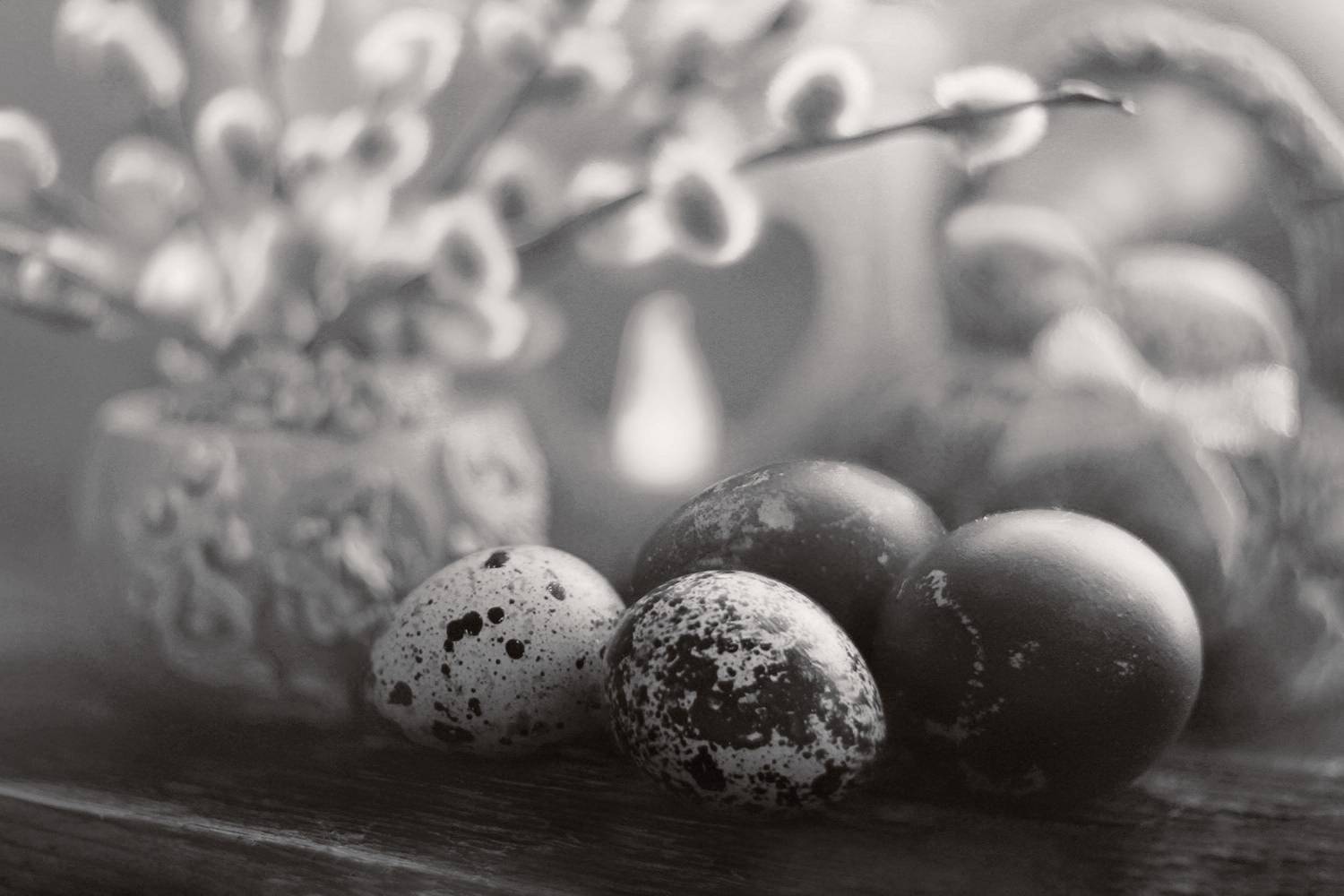 , Алёна Сурнина