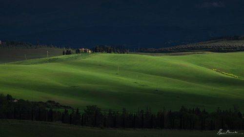 Hills of Tuscany