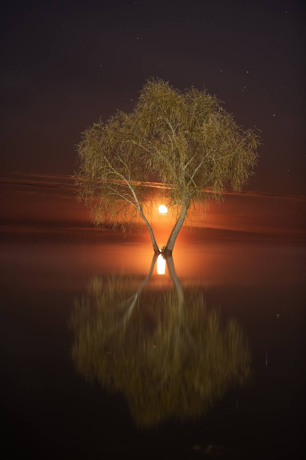 , Третьякова Анастасия