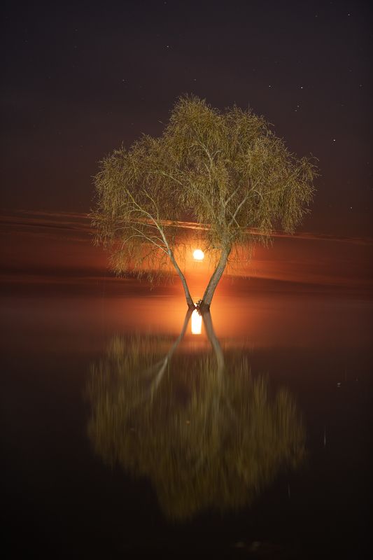 *** фото превью