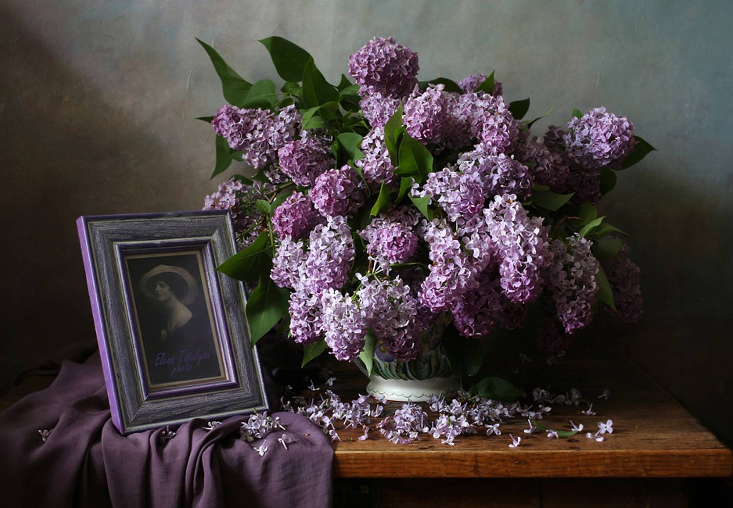 сирень, Елена Татульян