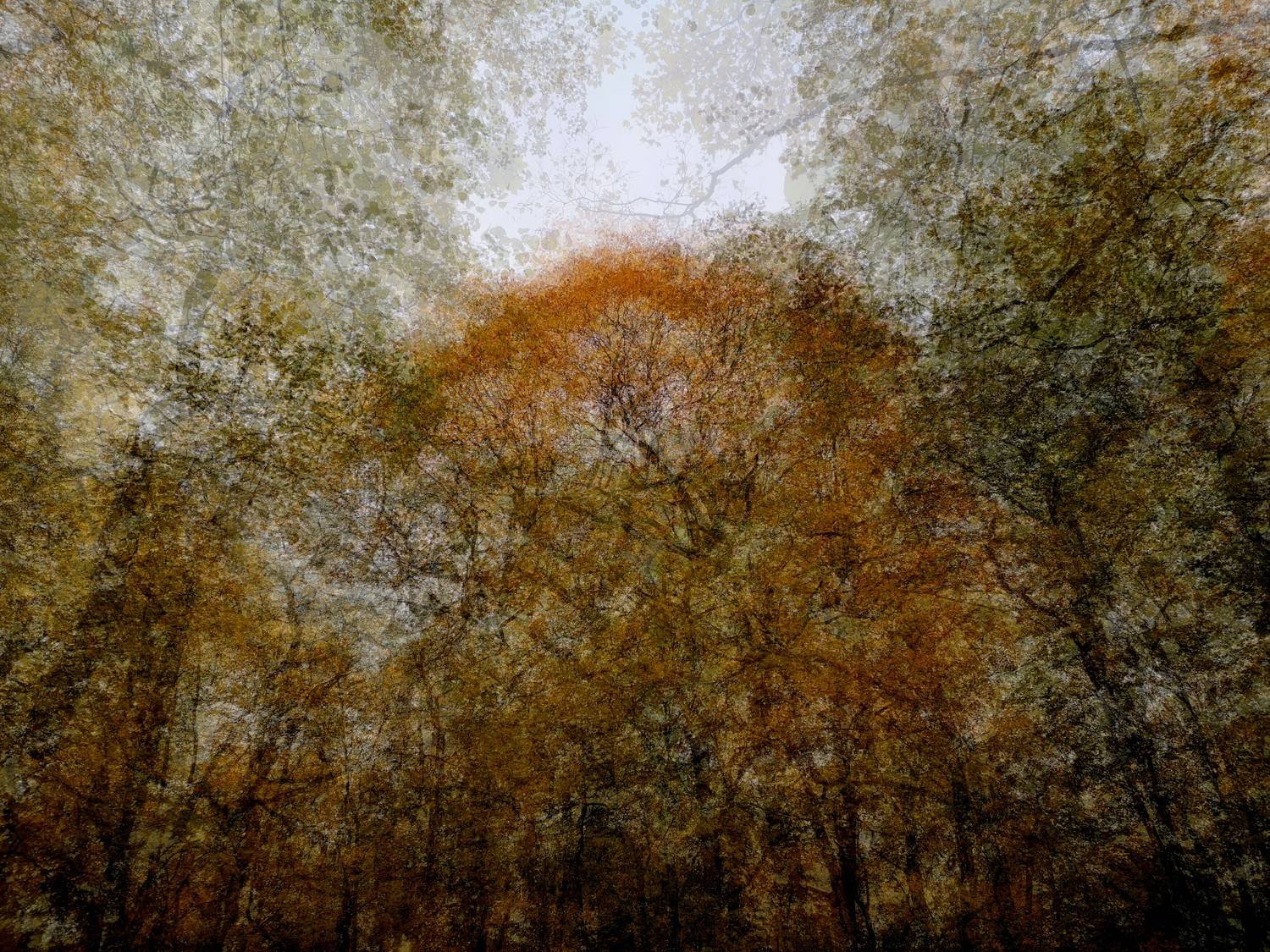 , Антон Лаба