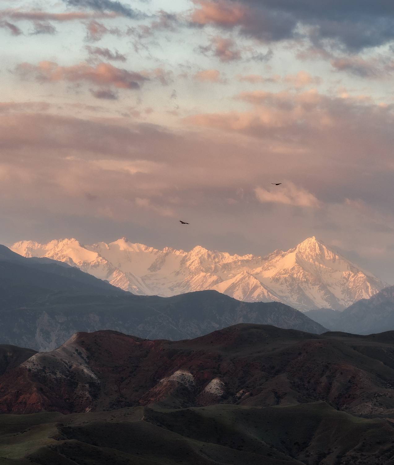 , Мозжухин Максим