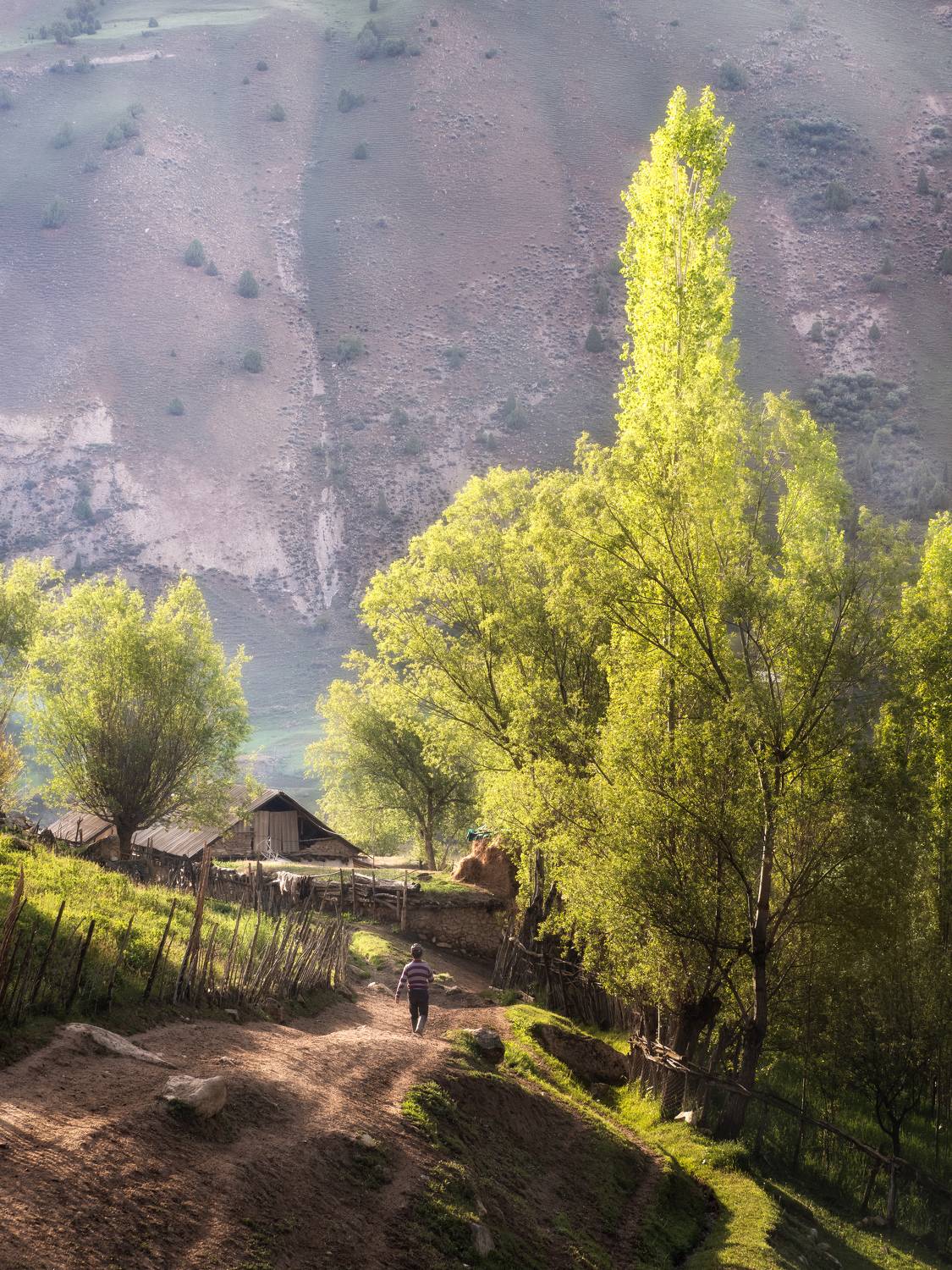 , Мозжухин Максим