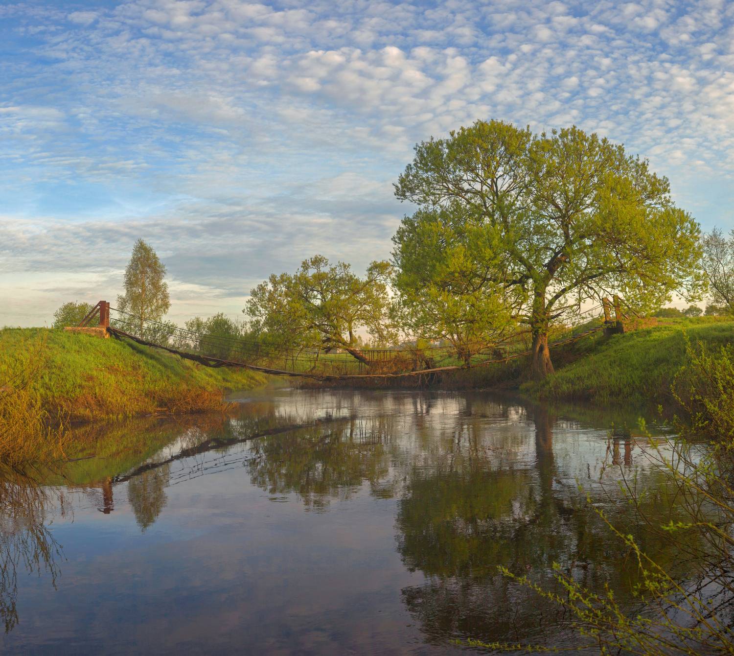 утро, река, мостик, Свистков Александр