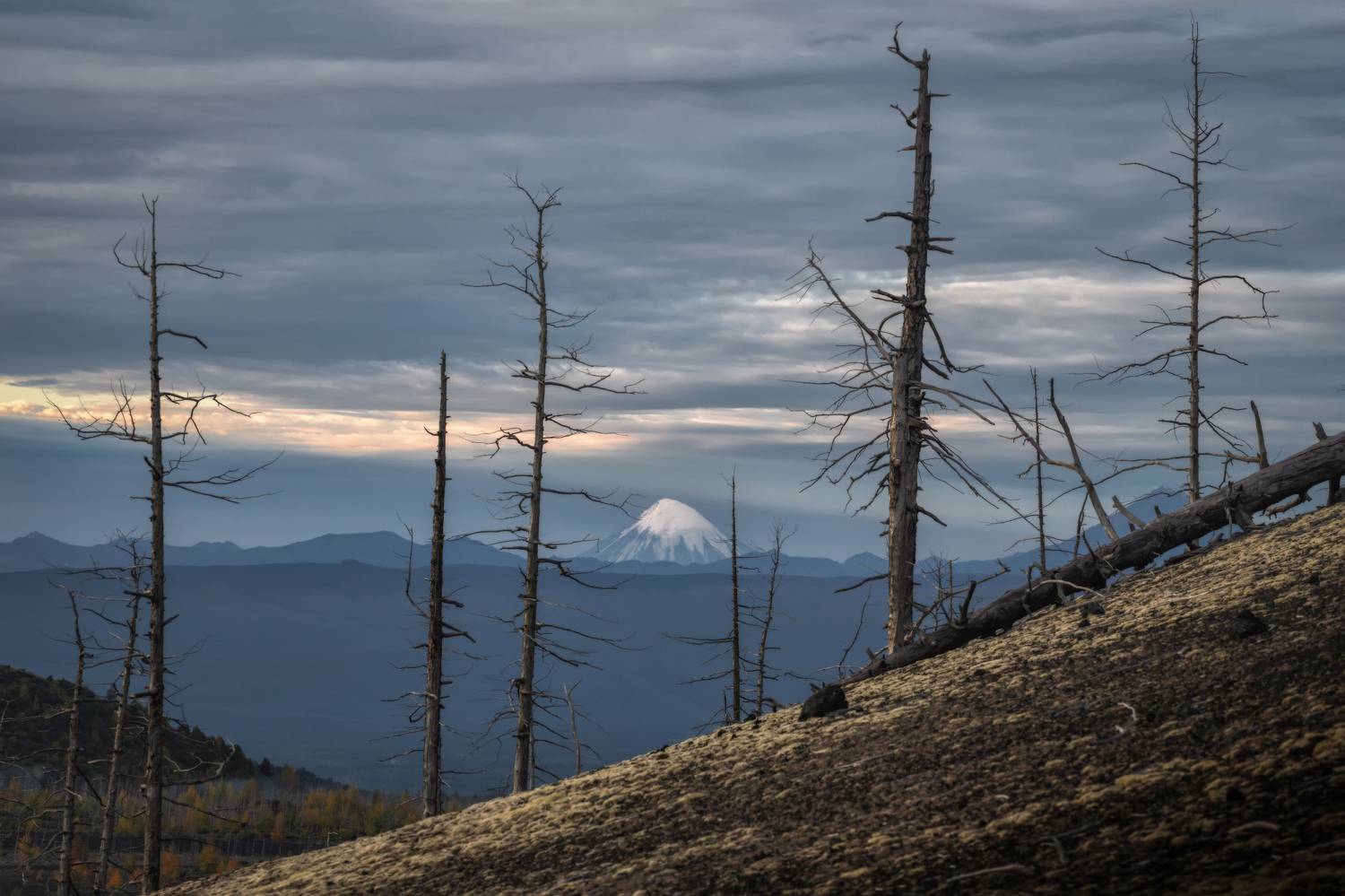 камчатка, Андрей Грачев