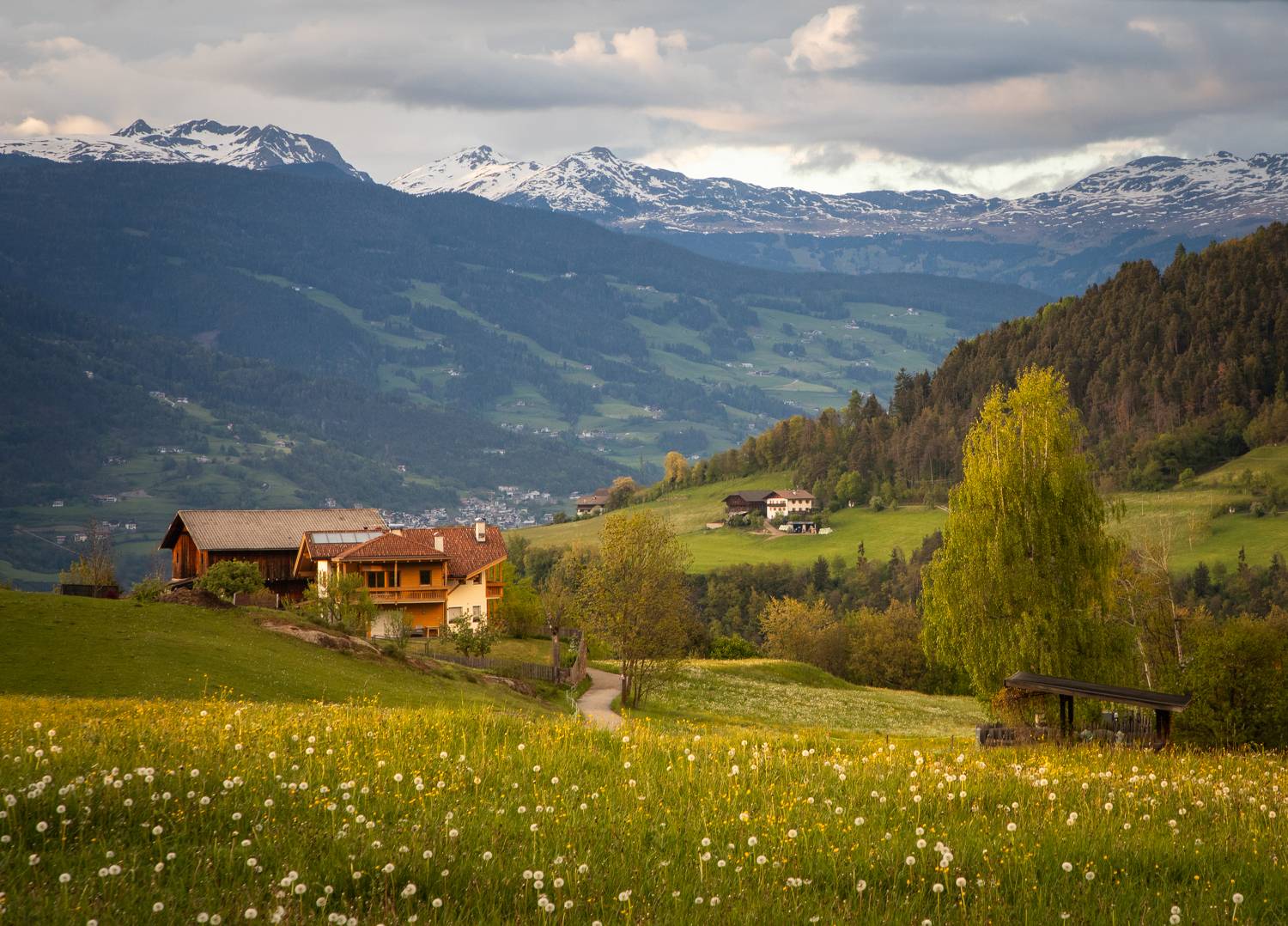 , Алекс Римский