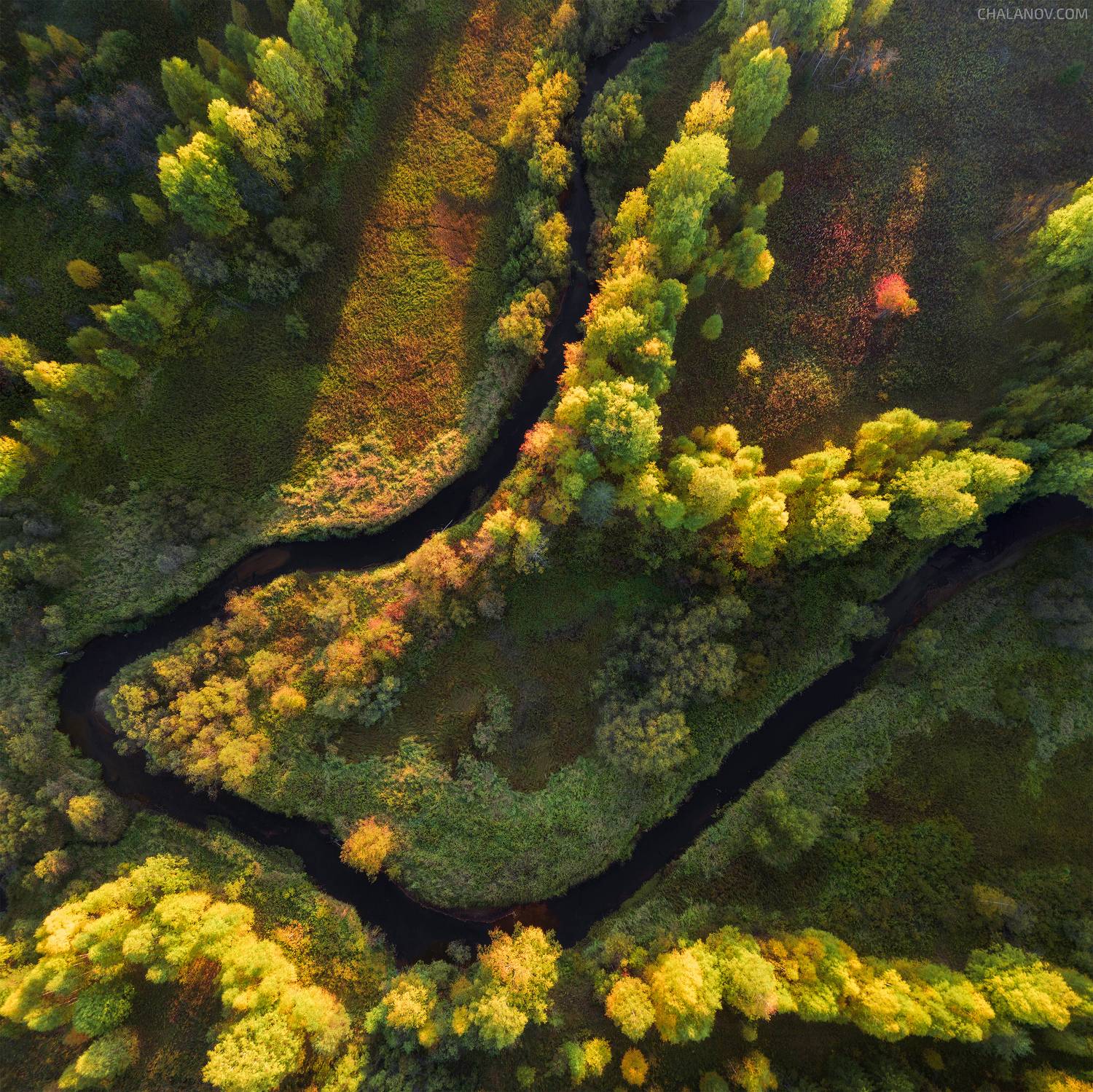 пейзаж, закат, осень, река, озеро, лес, север, коми, дрон, аэросъёмка, Иван Чаланов