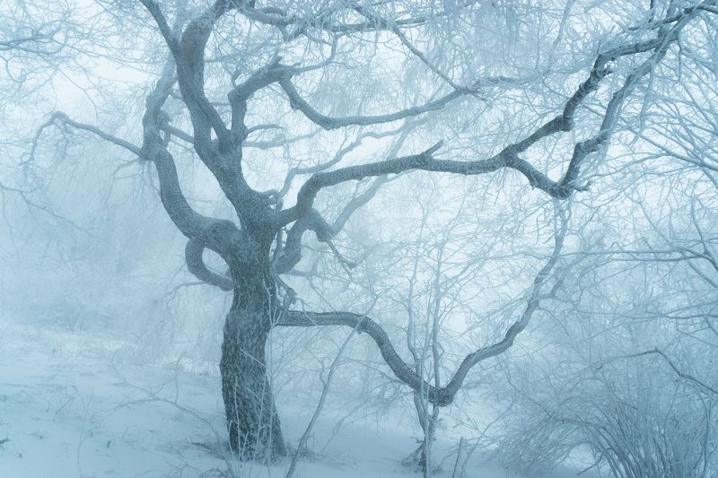 **** фото превью