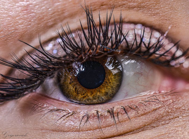 глаз. ресницы. радужная оболочка. зрачок Глазик фото превью