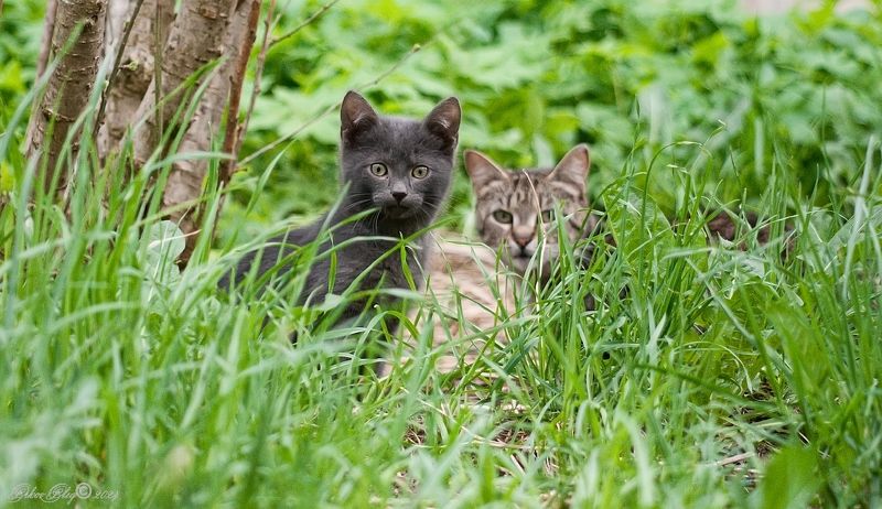 С мамой не страшно... фото превью
